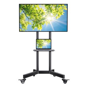 TV on Stand